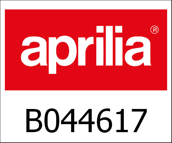 APRILIA / アプリリア純正 Dashboard Speedometer|B044617
