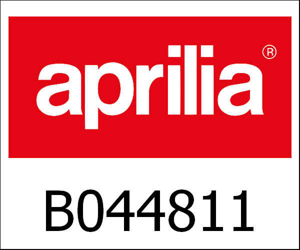 APRILIA / アプリリア純正 Master Cil.|B044811