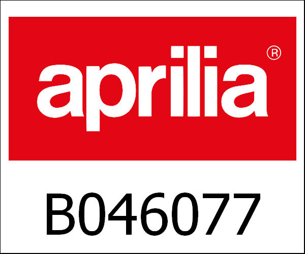 APRILIA / アプリリア純正 Chain Tensioner Sliding Block|B046077