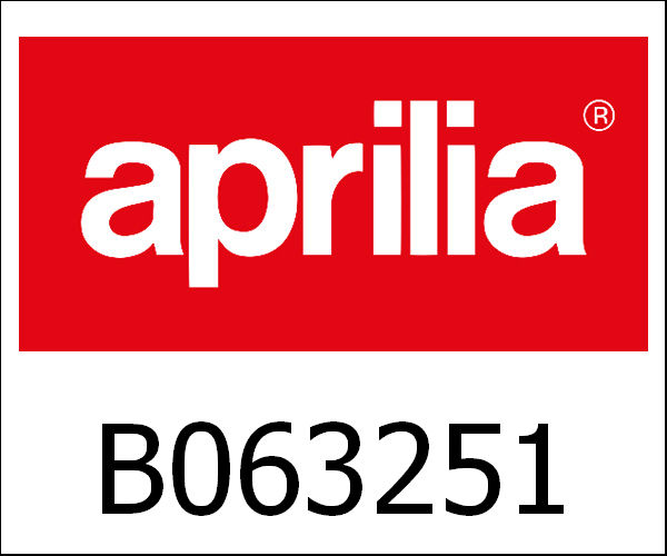 APRILIA / アプリリア純正 Frame|B063251