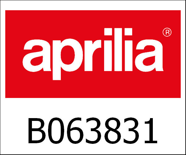 APRILIA / アプリリア純正 Plug|B063831