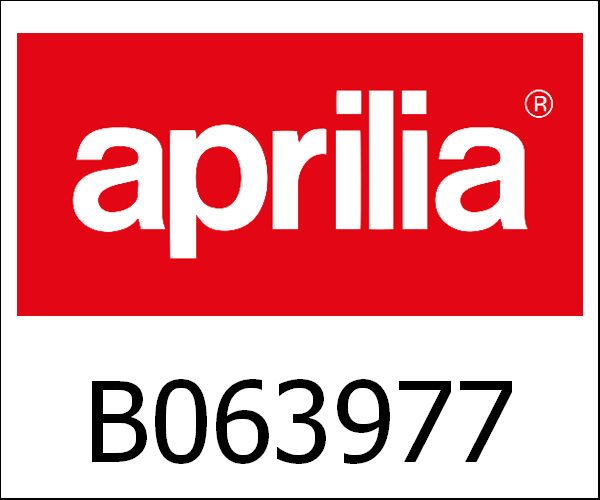 APRILIA / アプリリア純正 Half-Rings Sealing Retainer Spring|B063977