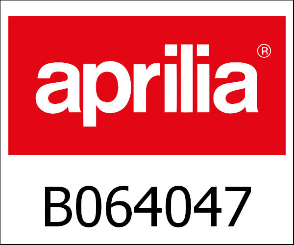 APRILIA / アプリリア純正 Left Cylinder With Ip|B064047