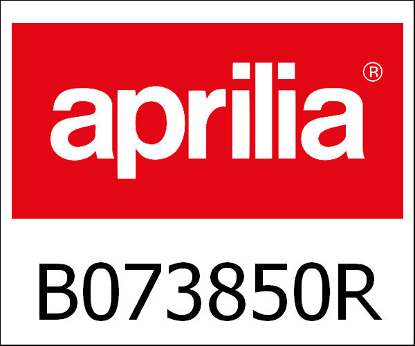 APRILIA / アプリリア純正 Light Switch|B073850R