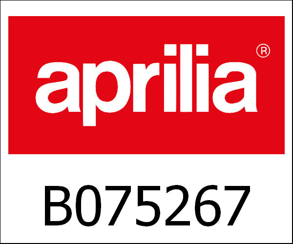 APRILIA / アプリリア純正 Complete Footboard|B075267