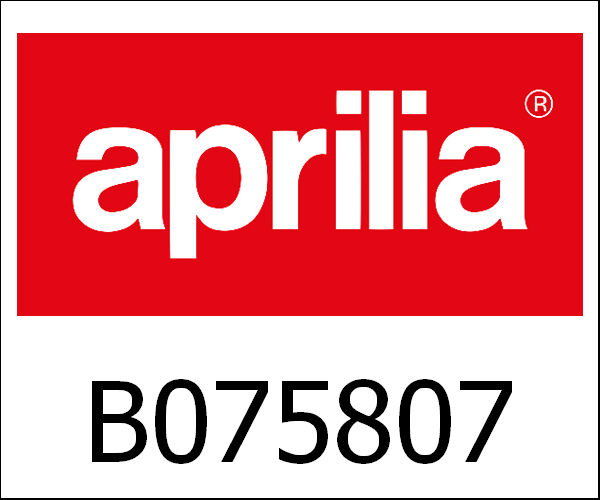 APRILIA / アプリリア純正 Querlenker Ht. Links|B075807