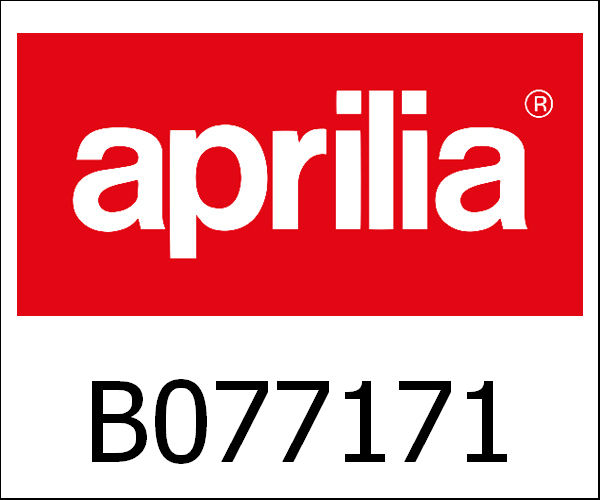 APRILIA / アプリリア純正 Motor|B077171