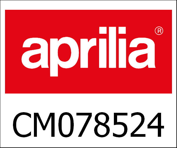 APRILIA / アプリリア純正 Throttle Body With E.C.U.|CM078524