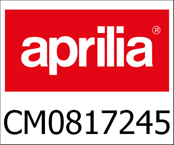 APRILIA / アプリリア純正 Throttle Body With E.C.U.|CM0817245