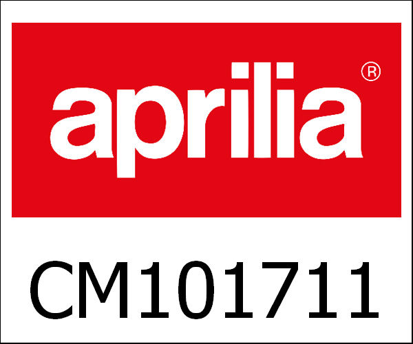 APRILIA / アプリリア純正 Hoofdsproeier 60|CM101711