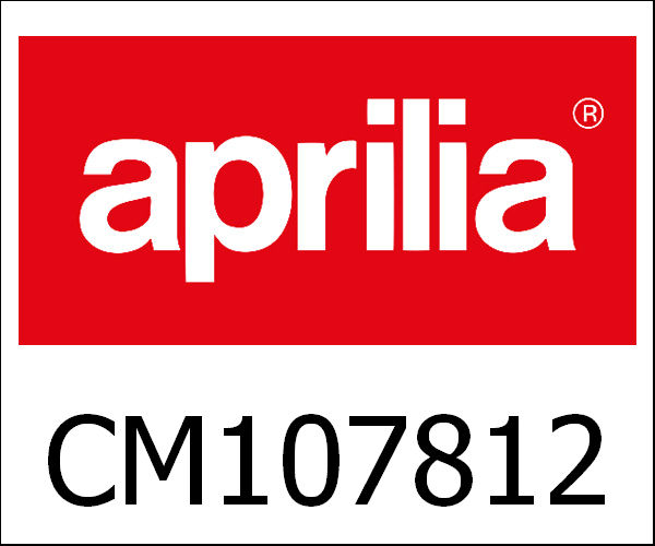 APRILIA / アプリリア純正 Gasnaald C15|CM107812