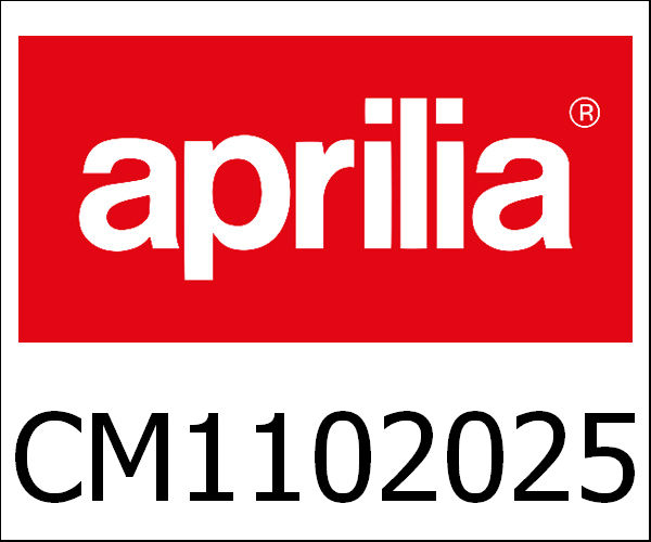 APRILIA / アプリリア純正 6 Rollers Kit 19Mm 6,4Gr Mc3/Zip Cat|CM1102025