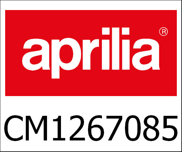 APRILIA / アプリリア純正 Engine 50 4S E.2 Scarabeo|CM1267085