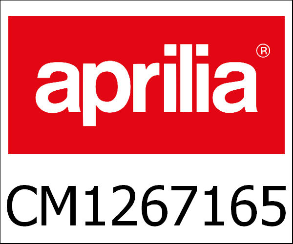 APRILIA / アプリリア純正 Eng.50 4T E2 Aprilia Scarabeo|CM1267165