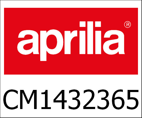 APRILIA / アプリリア純正 Engine 250 4S/4V E3 Scarabeo Light|CM1432365