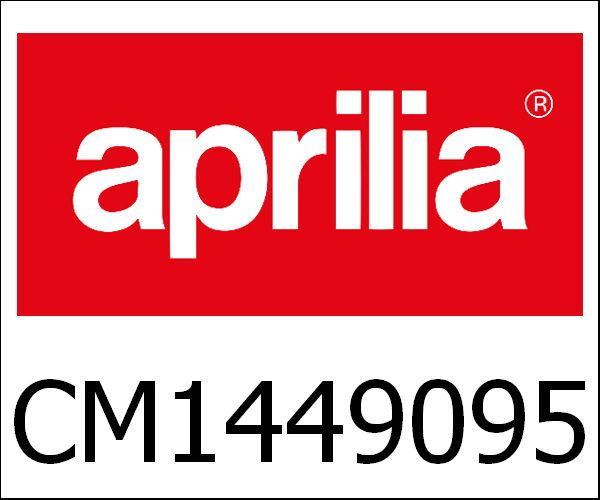 APRILIA / アプリリア純正 Motorblok 100 4T E2 Ap Scarabeo Usa|CM1449095