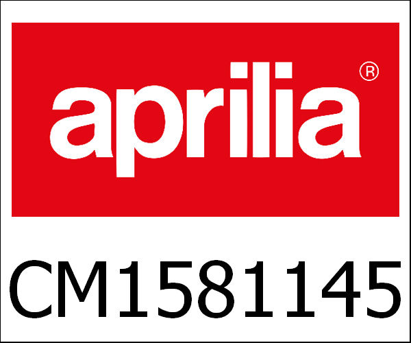 APRILIA / アプリリア純正 Eng.125 4S/4V E3 I.E. "Mp3" Light|CM1581145
