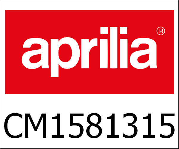 APRILIA / アプリリア純正 Engine 125 4T4V E3 I.E. Mg3 V.Gts/Gtv X|CM1581315