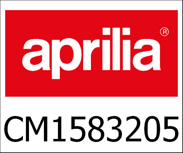 APRILIA / アプリリア純正 Eng.300 4S/4V E3 I.E. "Mp3" Light|CM1583205
