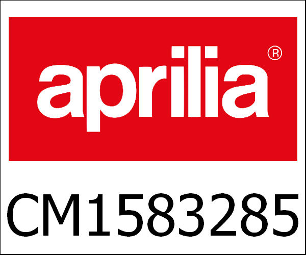 APRILIA / アプリリア純正 Eng.300 4S/4V E3 I.E. "Mp3" Light|CM1583285