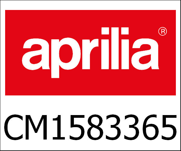 APRILIA / アプリリア純正 Engine 300 4T/4V E3 Nexus|CM1583365