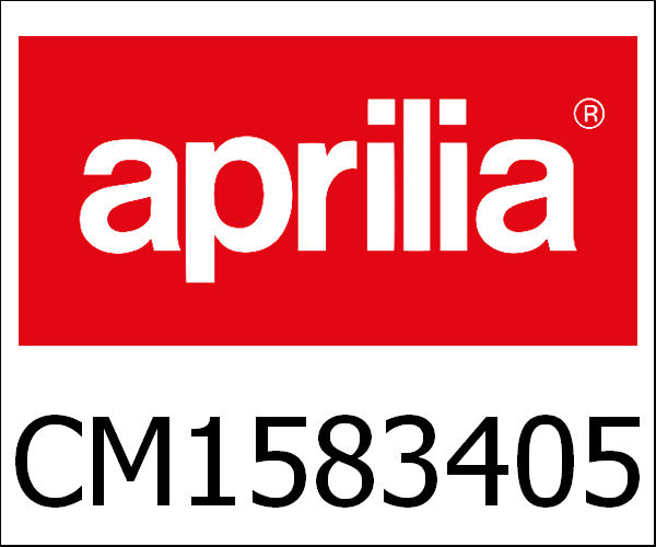 APRILIA / アプリリア純正 Motor Blok300 4T4V E3 I.E.Mp3 Mic/Tri.Ma|CM1583405
