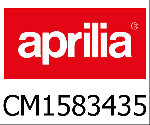 APRILIA / アプリリア純正 Engine 300 4T/4V E3 I.E. Mg3 Bev.X S.P.|CM1583435