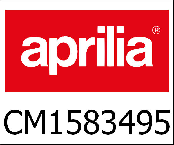 APRILIA / アプリリア純正 Eng.300 4T/4V E3 I.E. Mg3 Nexus X S.P.|CM1583495