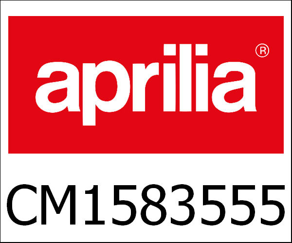 APRILIA / アプリリア純正 Eng. 300 4S 4V E2 Mp3 My 14|CM1583555