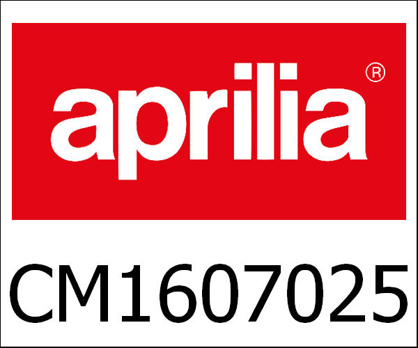 APRILIA OEM /アプリリア 純正商品Motor 1200 4T/8V Dorsodu|CM1607025