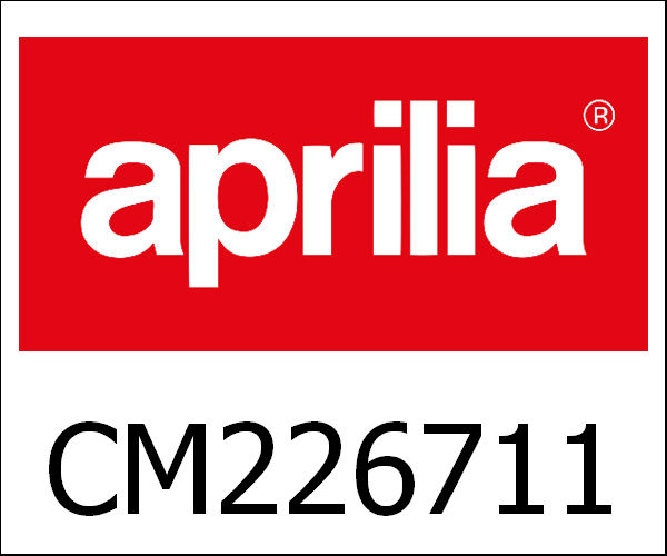 APRILIA / アプリリア純正 Top Box Stelvio Orange|CM226711