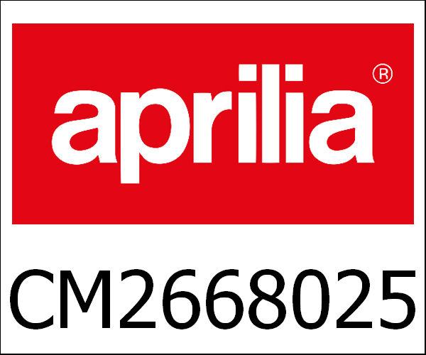 APRILIA OEM /アプリリア 純正商品Engine Tuono 1100 Usa My15 E3|CM2668025