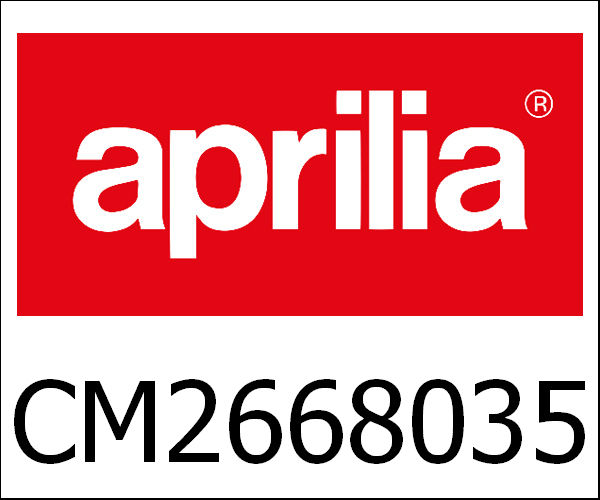 APRILIA OEM /アプリリア 純正商品Engine 200 4T/4V E2 V-Gt Usa|CM2668035
