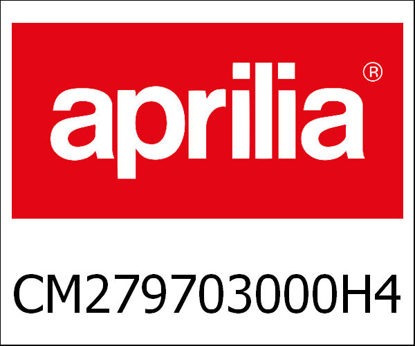 APRILIA / アプリリア純正 Front Fork Jd Size 55 Grey Pulsar|CM279703000H4