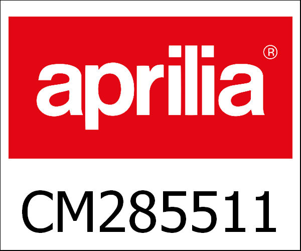 APRILIA / アプリリア純正 Eng. 50 4S/3V E4 I-Get Zip 25Km/H|CM285511