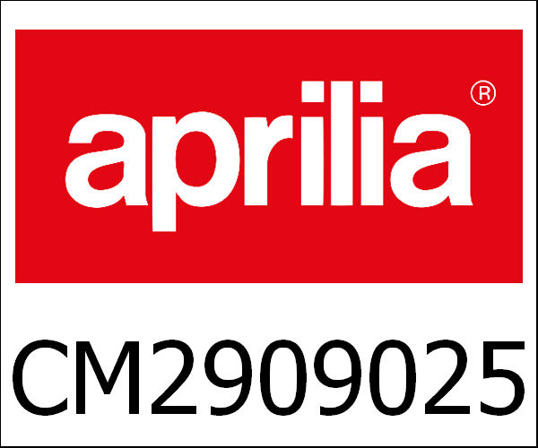 APRILIA / アプリリア純正 Eng. 50 2S E4 Sr|CM2909025