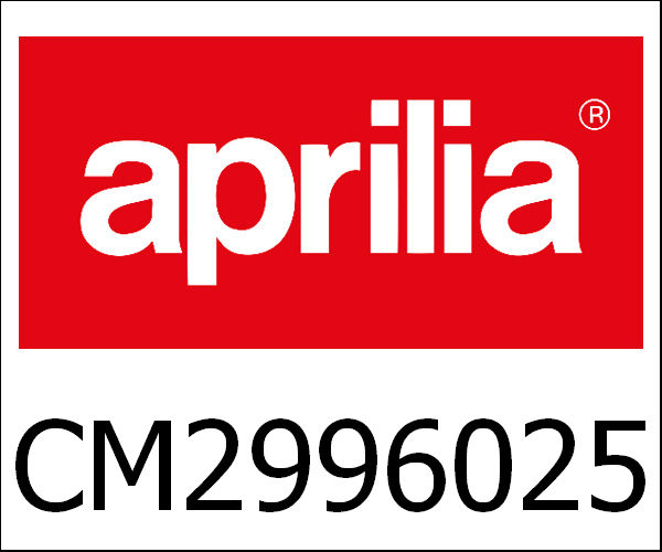 APRILIA / アプリリア純正 Dashboard Holder|CM2996025