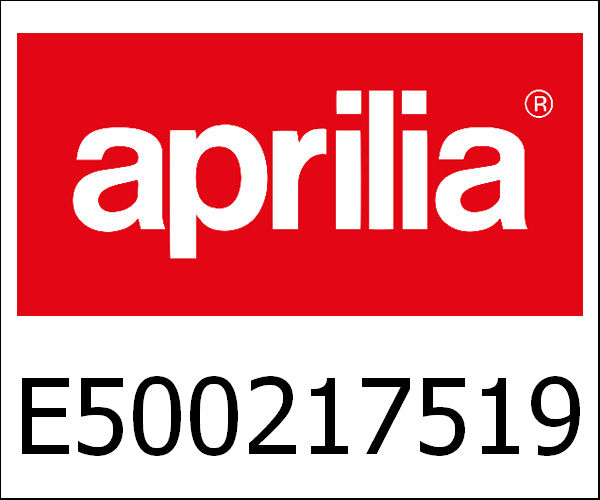 APRILIA / アプリリア純正 Filter Element|E500217519