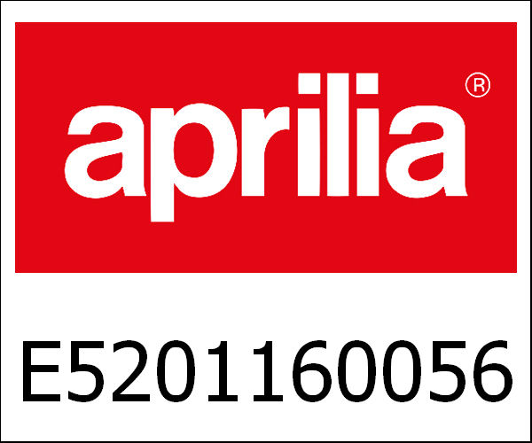 APRILIA / アプリリア純正 Steekaskeerring|E5201160056