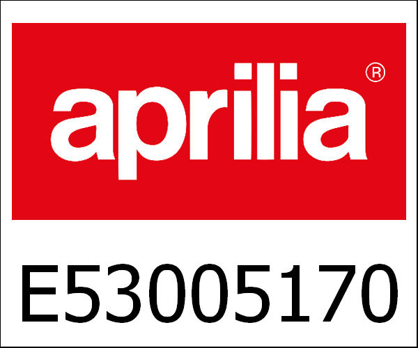 APRILIA / アプリリア純正 Set Of Rocker Lever 530|E53005170