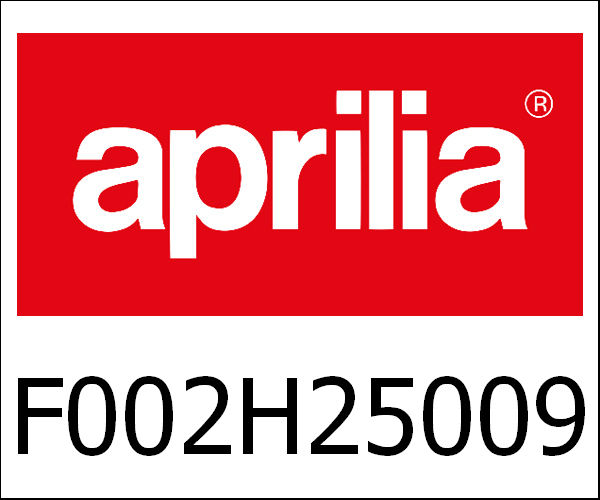 APRILIA / アプリリア純正 Complete Fuel Filter|F002H25009