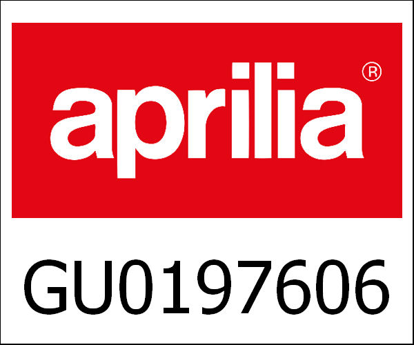 APRILIA / アプリリア純正 Exhaust Set|GU01976062
