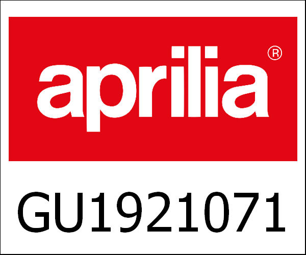 APRILIA / アプリリア純正 Counter Shaft|GU19210716