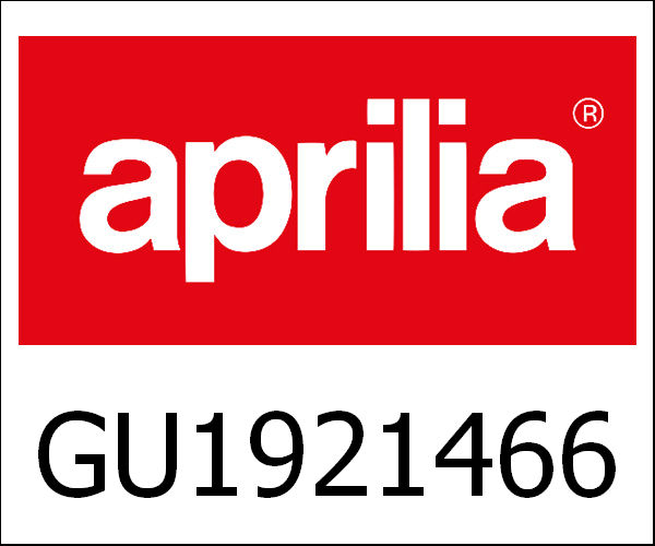 APRILIA / アプリリア純正 Clearance Washer|GU19214660