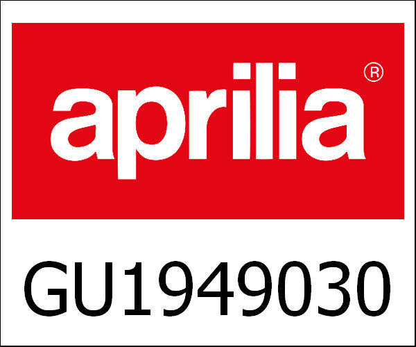 APRILIA / アプリリア純正 Front Fork|GU19490305