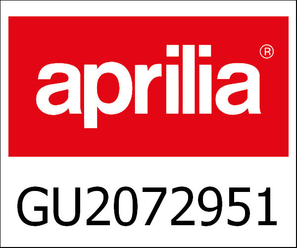 APRILIA / アプリリア純正 Power Module|GU20729513