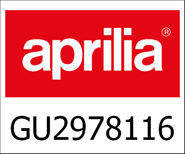 APRILIA / アプリリア純正 Panel With Lenses|GU29781160