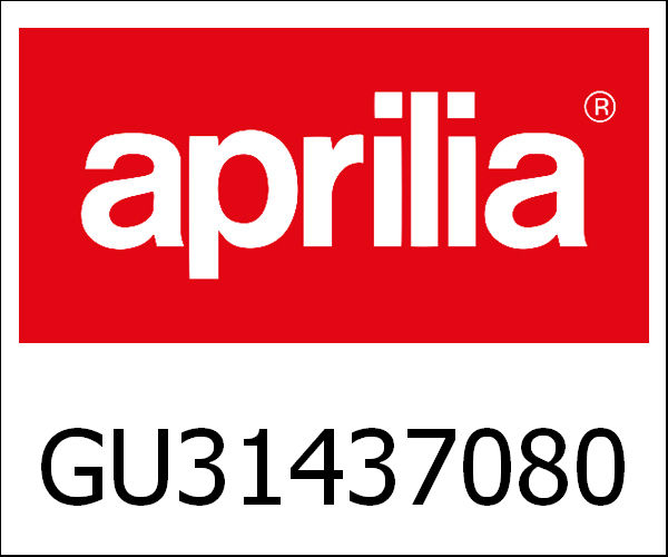 APRILIA / アプリリア純正 Rear Fender|GU314370801