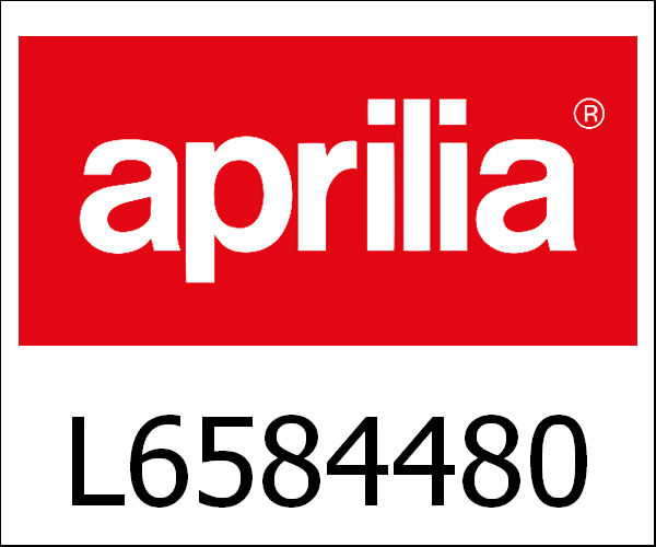 APRILIA / アプリリア純正 Rotorhuis|L6584480
