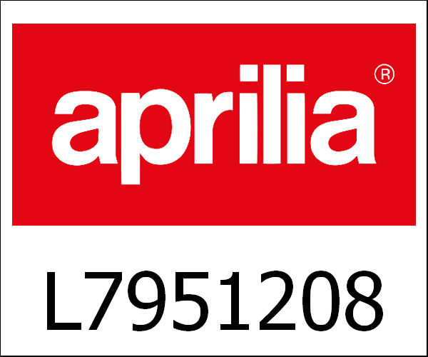 APRILIA / アプリリア純正 Complete Differential Box|L7951208